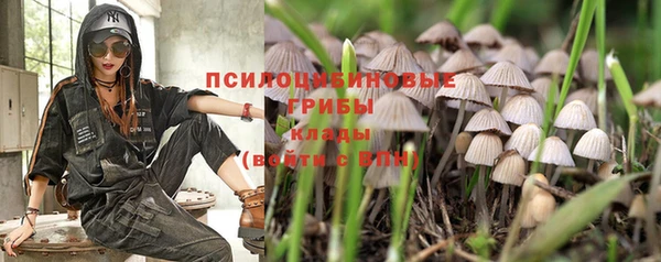 скорость Алексин