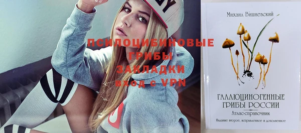 скорость Алексин
