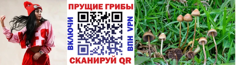 Псилоцибиновые грибы мухоморы  Алупка 
